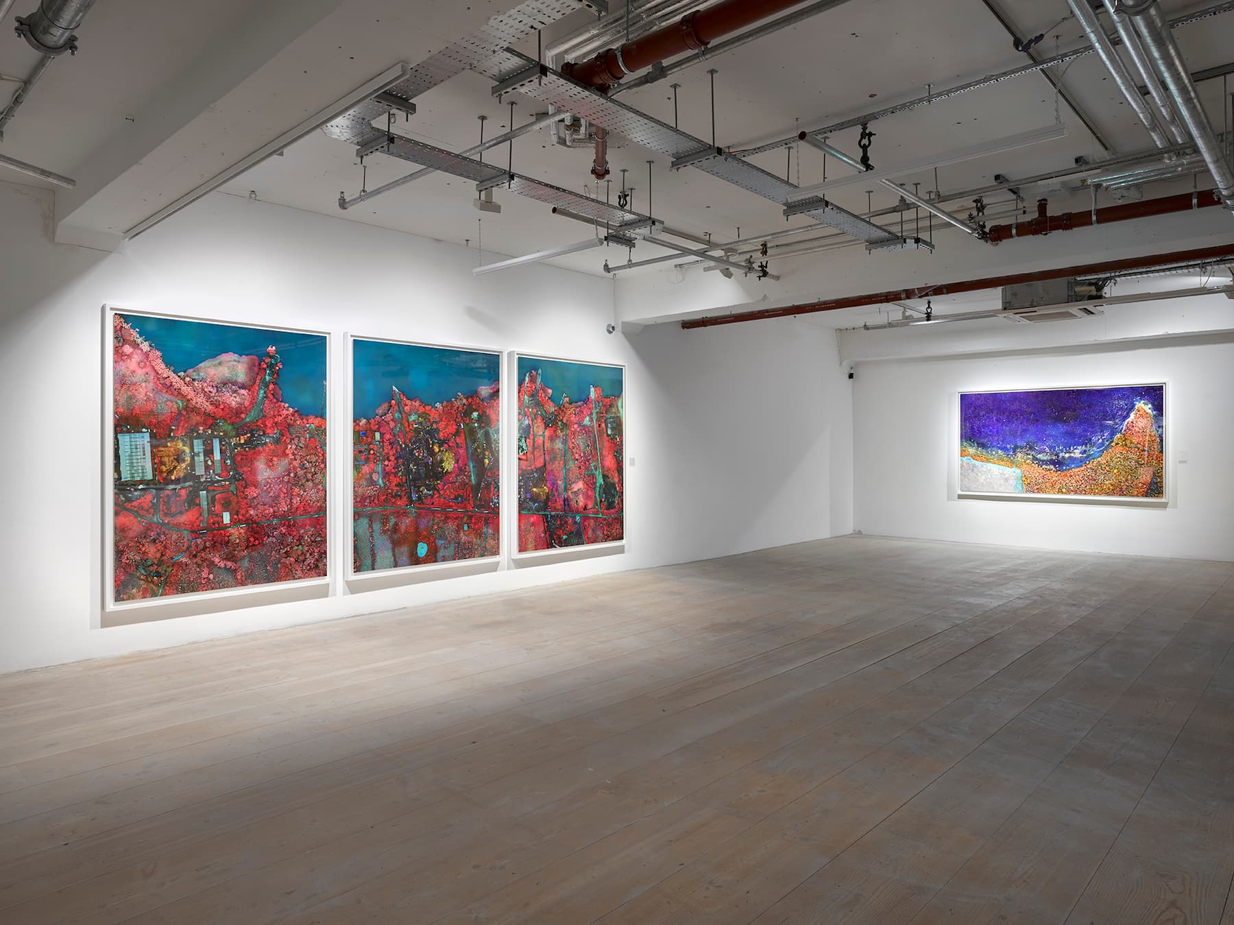 Richard Mosse — Broken Spectre