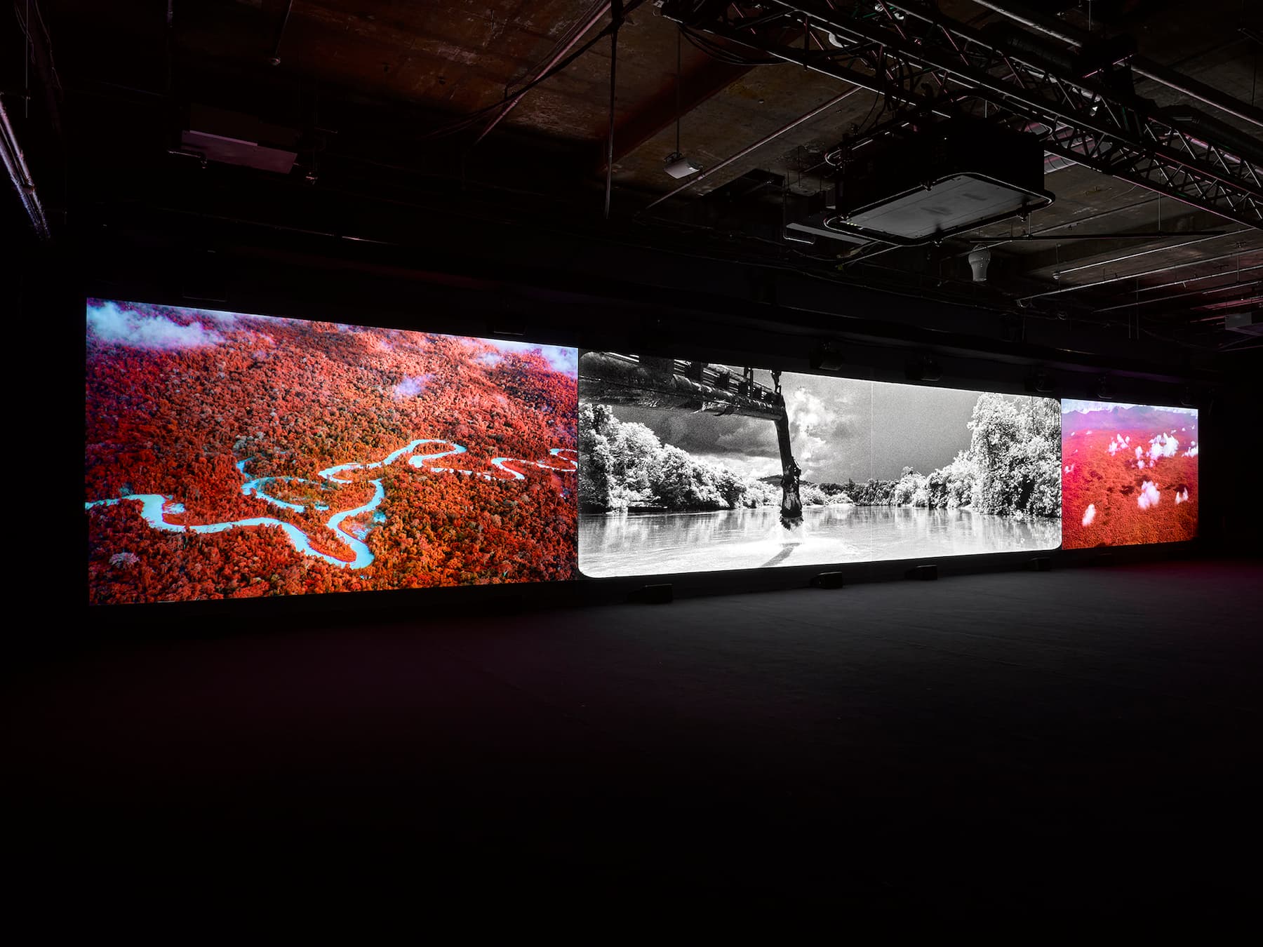 Richard Mosse — Broken Spectre