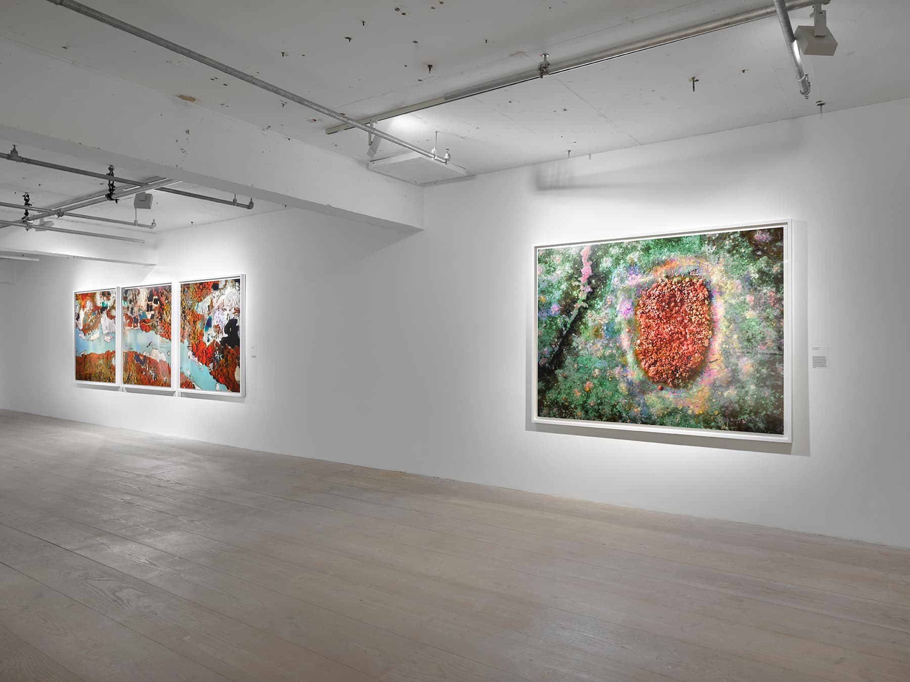 Richard Mosse — Broken Spectre