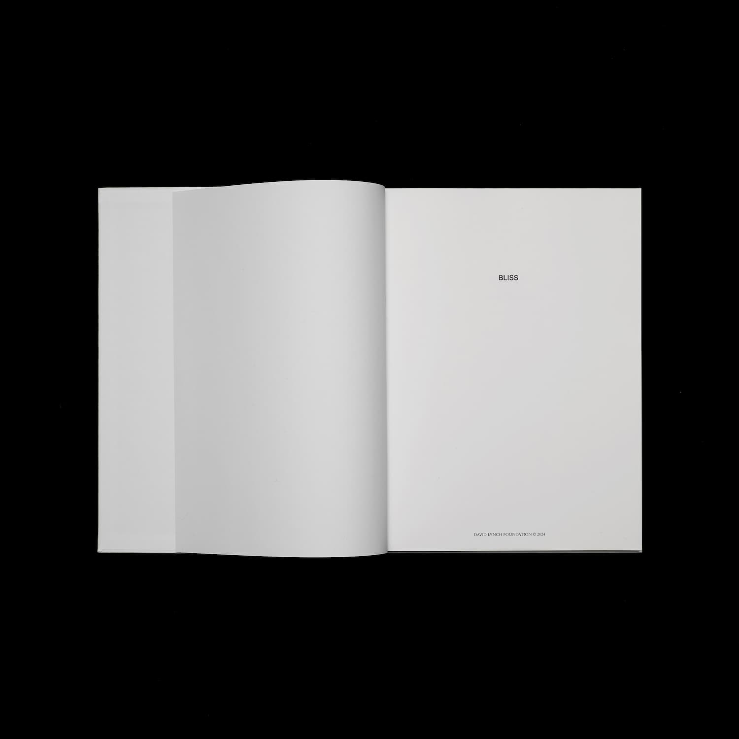 Bliss — Marina Abramović, David Lynch & Issy Wood